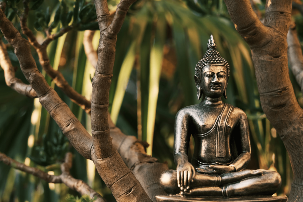 Max meditation