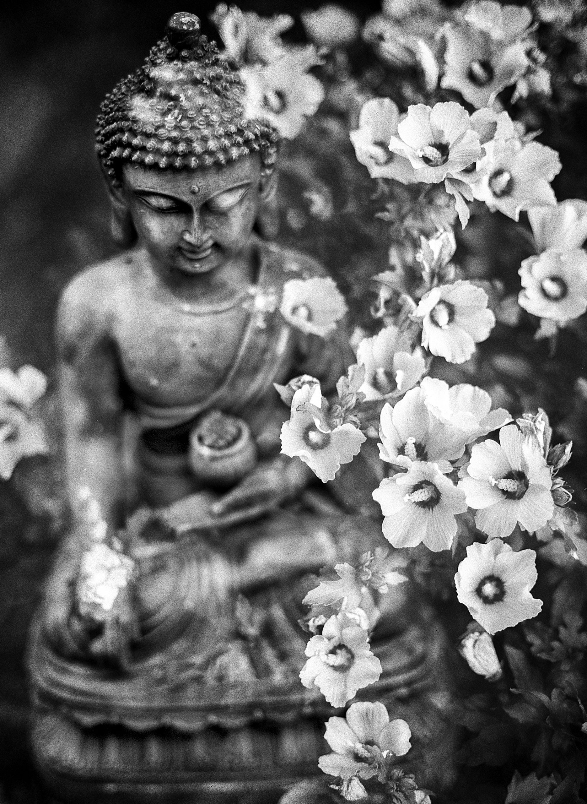 benjamin-balazs-sKmv39dsjZI-unsplash Max meditation